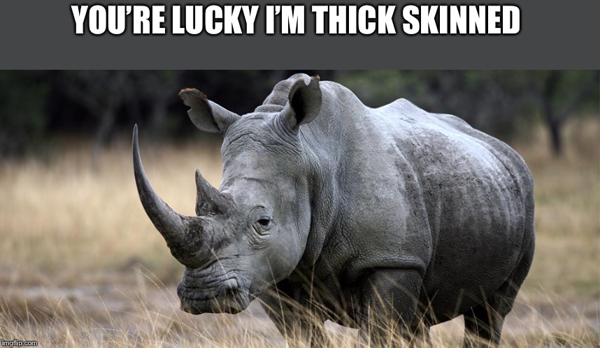 rhino | YOU’RE LUCKY I’M THICK SKINNED | image tagged in rhino | made w/ Imgflip meme maker