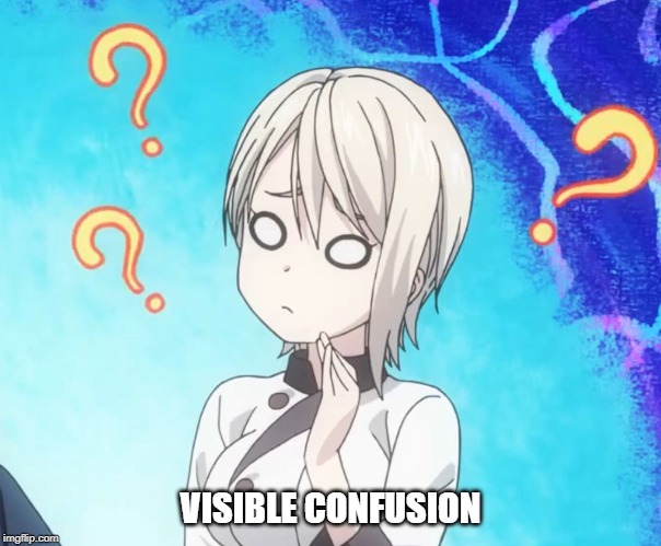 VISIBLE CONFUSION | made w/ Imgflip meme maker