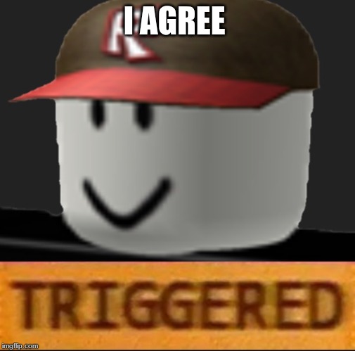 Roblox Triggered | I AGREE | image tagged in roblox triggered | made w/ Imgflip meme maker