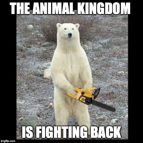 Chainsaw Bear Meme | THE ANIMAL KINGDOM; IS FIGHTING BACK | image tagged in memes,chainsaw bear | made w/ Imgflip meme maker