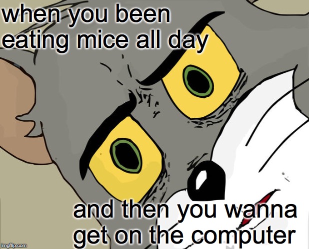It's a problem, see, 'cause he et all de mice!  ( : | when you been eating mice all day; and then you wanna get on the computer | image tagged in memes,unsettled tom | made w/ Imgflip meme maker