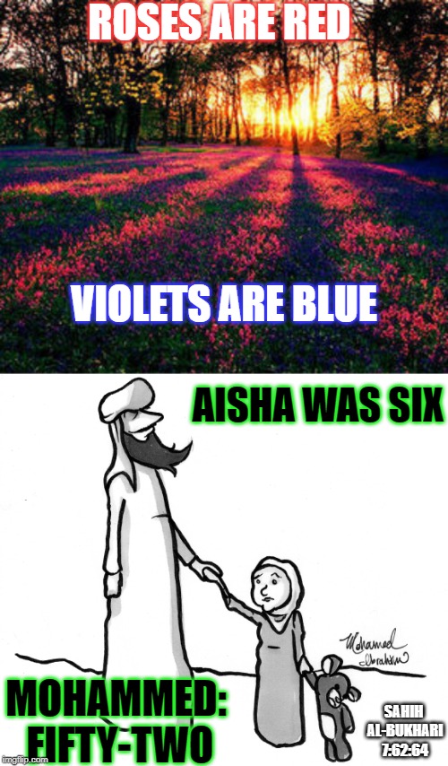 A poem inspired by Islamic scripture | ROSES ARE RED; VIOLETS ARE BLUE; AISHA WAS SIX; MOHAMMED: FIFTY-TWO; SAHIH AL-BUKHARI 7:62:64 | image tagged in roses are red,islam,mohammed,aisha | made w/ Imgflip meme maker