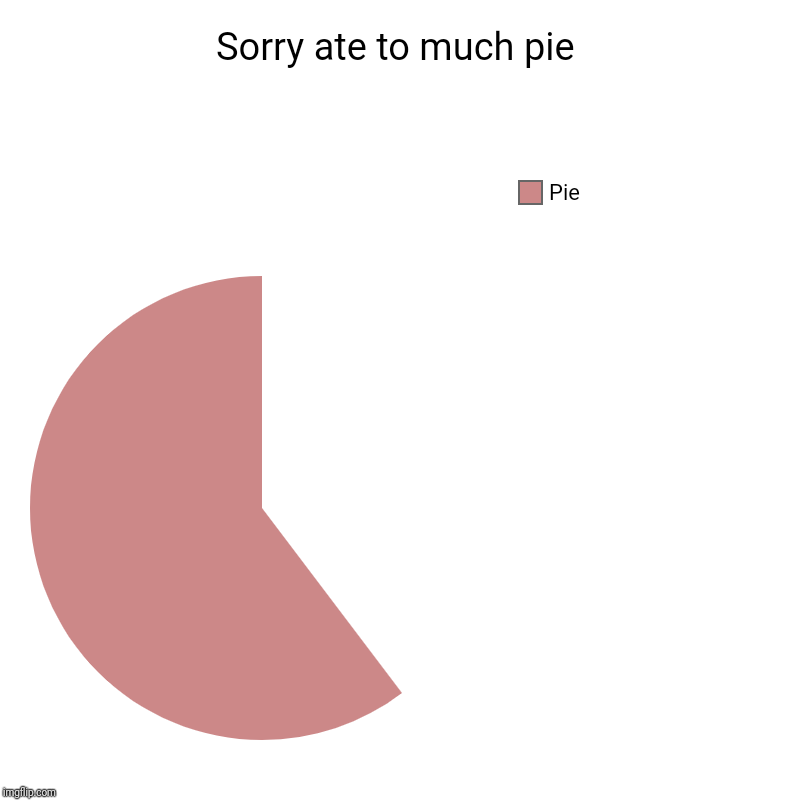Sorry ate to much pie | Pie | image tagged in charts,pie charts | made w/ Imgflip chart maker