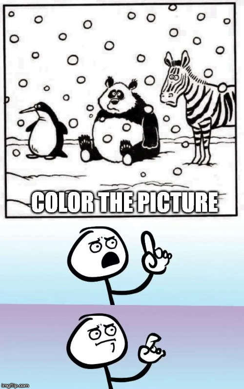 COLOR THE PICTURE | image tagged in color,picture | made w/ Imgflip meme maker