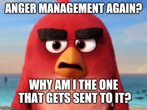 Angry Birds | ANGER MANAGEMENT AGAIN? WHY AM I THE ONE THAT GETS SENT TO IT? | image tagged in angry birds | made w/ Imgflip meme maker