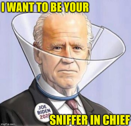 Joe Biden | I WANT TO BE YOUR; SNIFFER IN CHIEF | image tagged in joe biden,memes,sniff,sniffer in chief,2020 elections,aint nobody got time for that | made w/ Imgflip meme maker