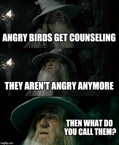 Confused Gandalf Meme | ANGRY BIRDS GET COUNSELING THEY AREN'T ANGRY ANYMORE THEN WHAT DO YOU CALL THEM? | image tagged in memes,confused gandalf | made w/ Imgflip meme maker