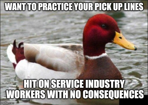 Malicious Advice Mallard | WANT TO PRACTICE YOUR PICK UP LINES; HIT ON SERVICE INDUSTRY WORKERS WITH NO CONSEQUENCES | image tagged in memes,malicious advice mallard,retail | made w/ Imgflip meme maker