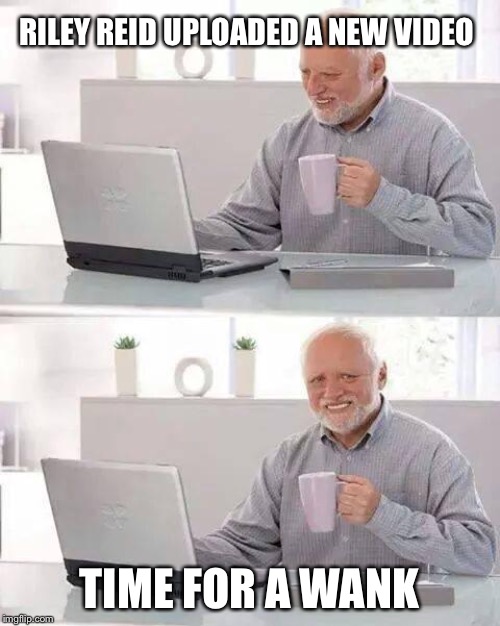 Hide the Pain Harold | RILEY REID UPLOADED A NEW VIDEO; TIME FOR A WANK | image tagged in memes,hide the pain harold | made w/ Imgflip meme maker
