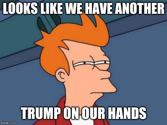 Futurama Fry | LOOKS LIKE WE HAVE ANOTHER; TRUMP ON OUR HANDS | image tagged in memes,futurama fry | made w/ Imgflip meme maker