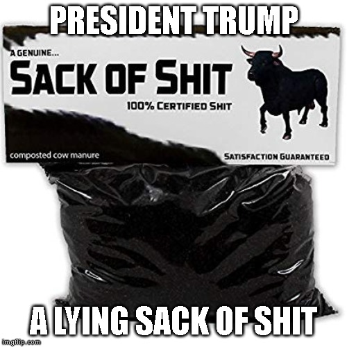 Anyone But Trump 2020 | PRESIDENT TRUMP; A LYING SACK OF SHIT | image tagged in impeach trump,anyone not trump,election 2020,anyone but trump,dump trump | made w/ Imgflip meme maker