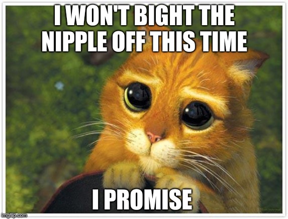 Shrek Cat Meme | I WON'T BIGHT THE NIPPLE OFF THIS TIME; I PROMISE | image tagged in memes,shrek cat | made w/ Imgflip meme maker