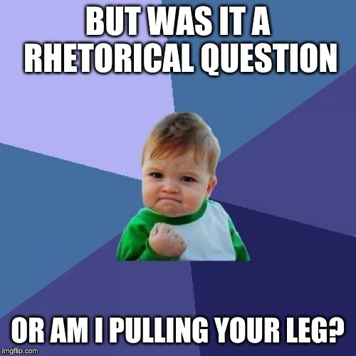 Success Kid Meme | BUT WAS IT A RHETORICAL QUESTION OR AM I PULLING YOUR LEG? | image tagged in memes,success kid | made w/ Imgflip meme maker