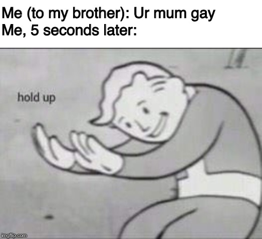 Attempted Suicide | Me (to my brother): Ur mum gay; Me, 5 seconds later: | image tagged in fallout hold up,ur mom gay,hold up,fallout,memes,funny | made w/ Imgflip meme maker