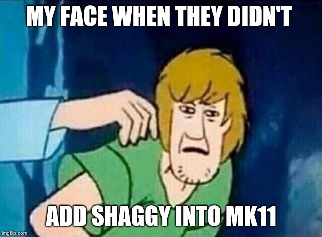 Scooby Doo Shaggy  | MY FACE WHEN THEY DIDN'T; ADD SHAGGY INTO MK11 | image tagged in scooby doo shaggy | made w/ Imgflip meme maker