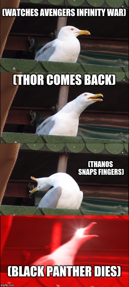 Inhaling Seagull Meme | (WATCHES AVENGERS INFINITY WAR); (THOR COMES BACK); (THANOS SNAPS FINGERS); (BLACK PANTHER DIES) | image tagged in memes,inhaling seagull | made w/ Imgflip meme maker