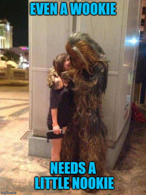 Come with me, baby, I'll show you the stars | EVEN A WOOKIE; NEEDS A LITTLE NOOKIE | image tagged in wookie nookie | made w/ Imgflip meme maker