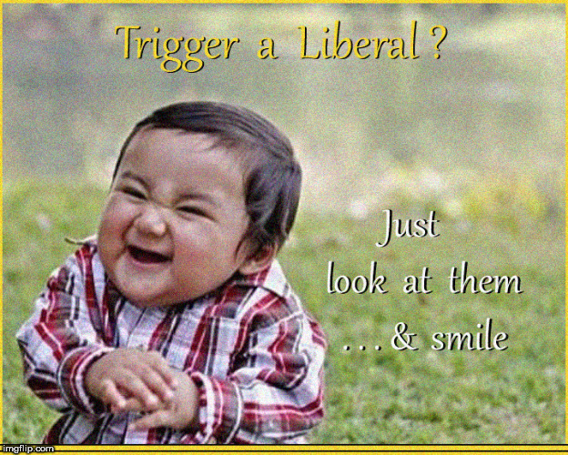 They are so Mentally Deranged ...all you have to do is smile at them now | image tagged in evil toddler,memes,dank memes,lol so funny,funny memes,stupid liberals | made w/ Imgflip meme maker