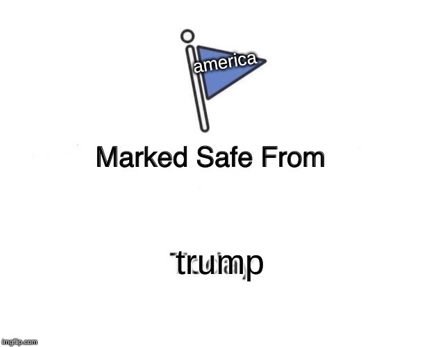 Marked Safe From Meme | america; trump | image tagged in memes,marked safe from | made w/ Imgflip meme maker
