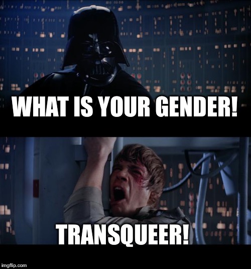 Star Wars No | WHAT IS YOUR GENDER! TRANSQUEER! | image tagged in memes,star wars no | made w/ Imgflip meme maker