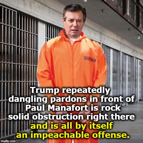 Well played, Mr. President! | Trump repeatedly dangling pardons in front of  Paul Manafort is rock solid obstruction right there; and is all by itself an impeachable offense. | image tagged in trump,manafort,obstruction,pardon,impeachment | made w/ Imgflip meme maker