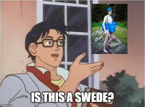 Is this a swede? | IS THIS A SWEDE? | image tagged in sweden,ikea,swede | made w/ Imgflip meme maker