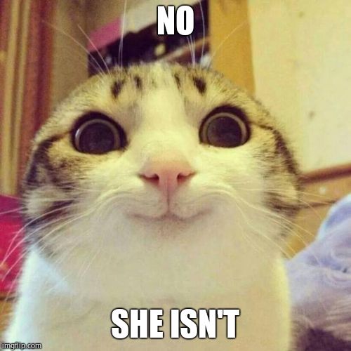 Smiling Cat Meme | NO SHE ISN'T | image tagged in memes,smiling cat | made w/ Imgflip meme maker