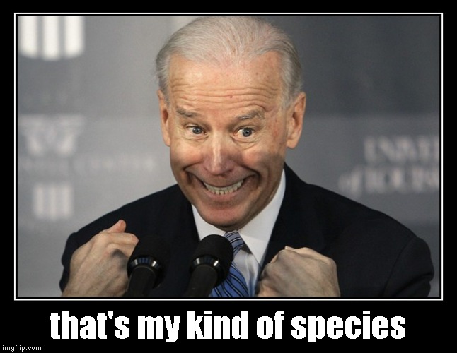 that's my kind of species | made w/ Imgflip meme maker