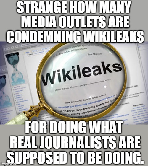 Wikileaks | STRANGE HOW MANY MEDIA OUTLETS ARE CONDEMNING WIKILEAKS; FOR DOING WHAT REAL JOURNALISTS ARE SUPPOSED TO BE DOING. | image tagged in wikileaks | made w/ Imgflip meme maker