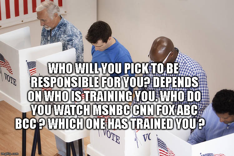 Voters | WHO WILL YOU PICK TO BE RESPONSIBLE FOR YOU? DEPENDS ON WHO IS TRAINING YOU. WHO DO YOU WATCH MSNBC CNN FOX ABC BCC ? WHICH ONE HAS TRAINED YOU ? | image tagged in voters | made w/ Imgflip meme maker