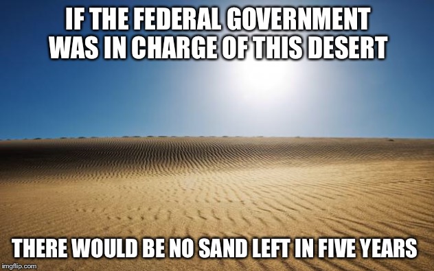desert | IF THE FEDERAL GOVERNMENT WAS IN CHARGE OF THIS DESERT THERE WOULD BE NO SAND LEFT IN FIVE YEARS | image tagged in desert | made w/ Imgflip meme maker