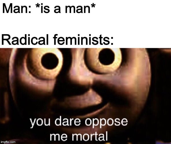 You dare oppose me mortal | Man: *is a man*; Radical feminists: | image tagged in you dare oppose me mortal,memes,feminazi,feminism,radical | made w/ Imgflip meme maker