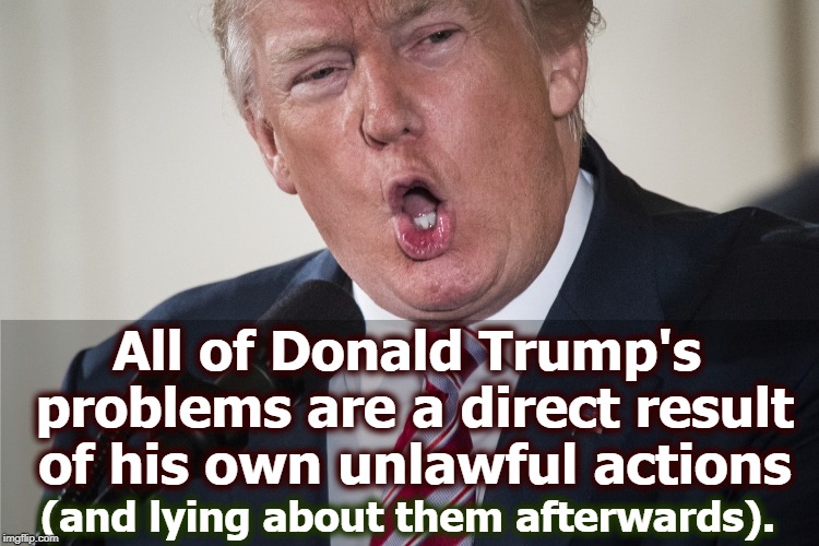 Well played, Mr. President! | All of Donald Trump's problems are a direct result of his own unlawful actions; (and lying about them afterwards). | image tagged in trump,unlawful,lying | made w/ Imgflip meme maker