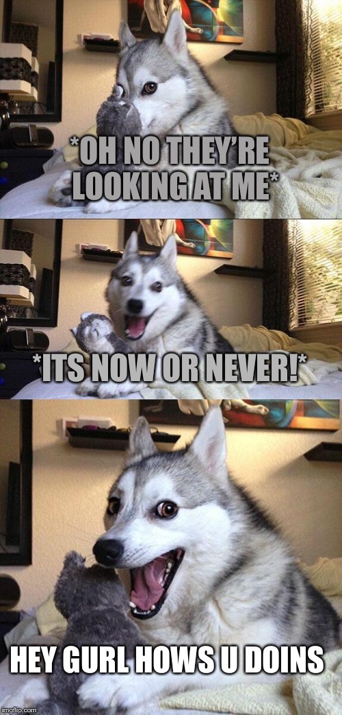 Bad Pun Dog Meme | *OH NO THEY’RE 
LOOKING AT ME*; *ITS NOW OR NEVER!*; HEY GURL HOWS U DOINS | image tagged in memes,bad pun dog | made w/ Imgflip meme maker