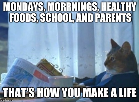 I Should Buy A Boat Cat | MONDAYS, MORRNINGS, HEALTHY FOODS, SCHOOL, AND PARENTS; THAT'S HOW YOU MAKE A LIFE | image tagged in memes,i should buy a boat cat,life | made w/ Imgflip meme maker
