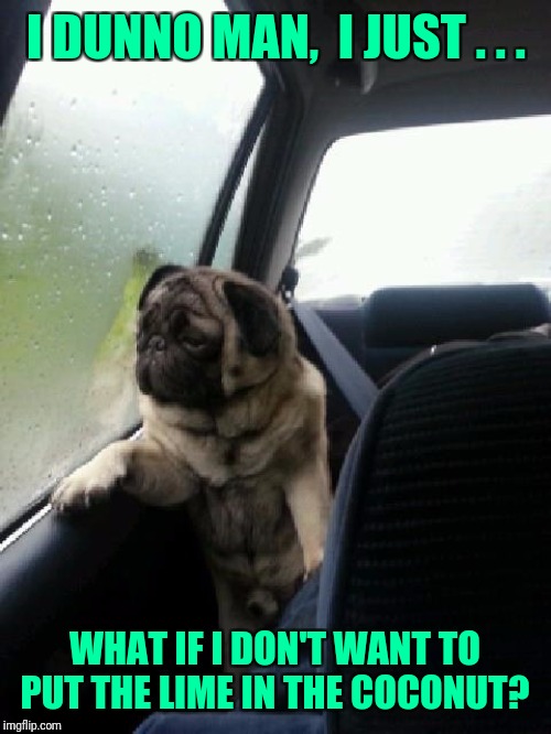 Repost Your Own Memes Week,  April 16 until...  A socrates and Craziness_all_the_way event! | I DUNNO MAN,  I JUST . . . WHAT IF I DON'T WANT TO PUT THE LIME IN THE COCONUT? | image tagged in introspective pug,memes,music,song lyrics,old meme,repost your own memes week | made w/ Imgflip meme maker