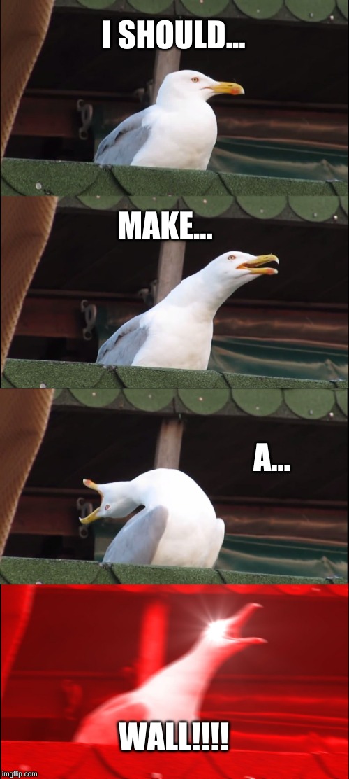 Inhaling Seagull Meme | I SHOULD... MAKE... A... WALL!!!! | image tagged in memes,inhaling seagull | made w/ Imgflip meme maker