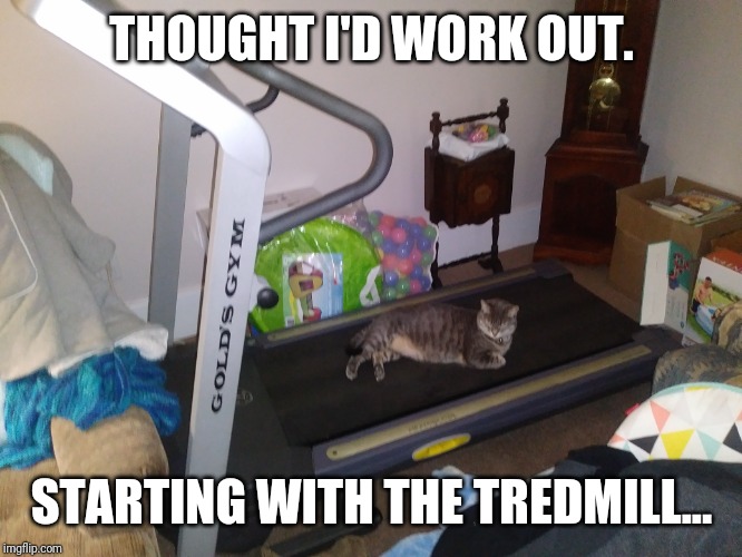 Lazy | THOUGHT I'D WORK OUT. STARTING WITH THE TREDMILL... | image tagged in lazy | made w/ Imgflip meme maker