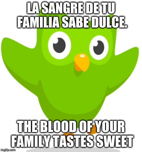 Duolingo Owl | LA SANGRE DE TU FAMILIA SABE DULCE. THE BLOOD OF YOUR FAMILY TASTES SWEET | image tagged in duolingo owl,spanish,meme,google translate | made w/ Imgflip meme maker
