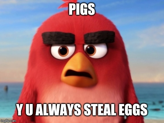 Angry Birds | PIGS; Y U ALWAYS STEAL EGGS | image tagged in angry birds,y u no,memes | made w/ Imgflip meme maker