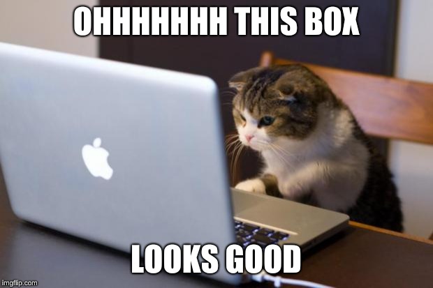Cats be like "thanks for the $600 bed and scratching post so i can sleep in the box" (sub to my YouTube channel btw) | OHHHHHHH THIS BOX; LOOKS GOOD | image tagged in cat using computer,cats are awesome,cats,funny cats,funny cat memes,cat box | made w/ Imgflip meme maker