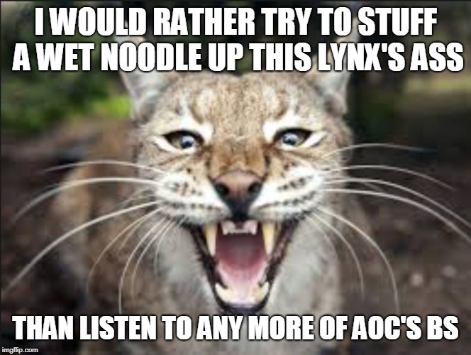 Lynx | I WOULD RATHER TRY TO STUFF A WET NOODLE UP THIS LYNX'S ASS; THAN LISTEN TO ANY MORE OF AOC'S BS | image tagged in lynx | made w/ Imgflip meme maker