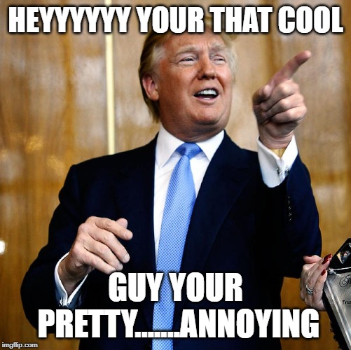 Donald Trump | HEYYYYYY YOUR THAT COOL; GUY YOUR PRETTY.......ANNOYING | image tagged in donald trump | made w/ Imgflip meme maker