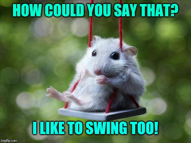 Mouse swing | HOW COULD YOU SAY THAT? I LIKE TO SWING TOO! | image tagged in mouse swing | made w/ Imgflip meme maker