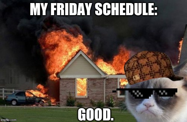 Burn Kitty | MY FRIDAY SCHEDULE:; GOOD. | image tagged in memes,burn kitty,grumpy cat | made w/ Imgflip meme maker