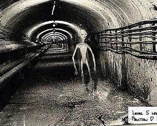 alien walking through tunnel Blank Meme Template