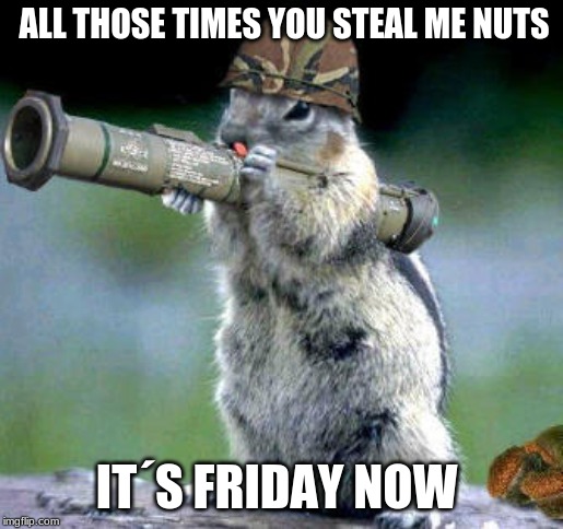 Bazooka Squirrel | ALL THOSE TIMES YOU STEAL ME NUTS; IT´S FRIDAY NOW | image tagged in memes,bazooka squirrel | made w/ Imgflip meme maker