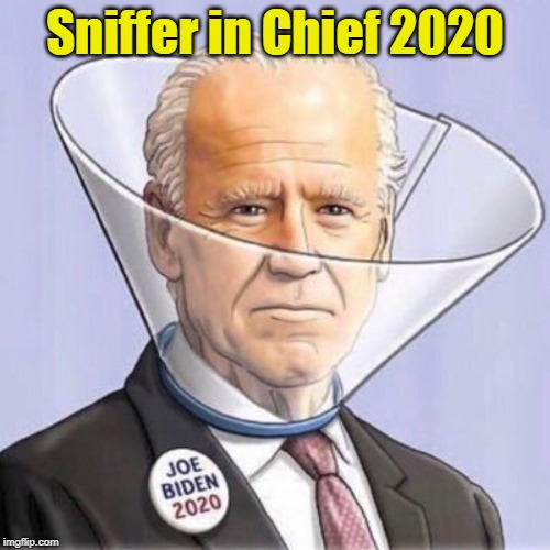 Joe Biden 2020: Sniffer in Chief | Sniffer in Chief 2020 | image tagged in joe biden | made w/ Imgflip meme maker