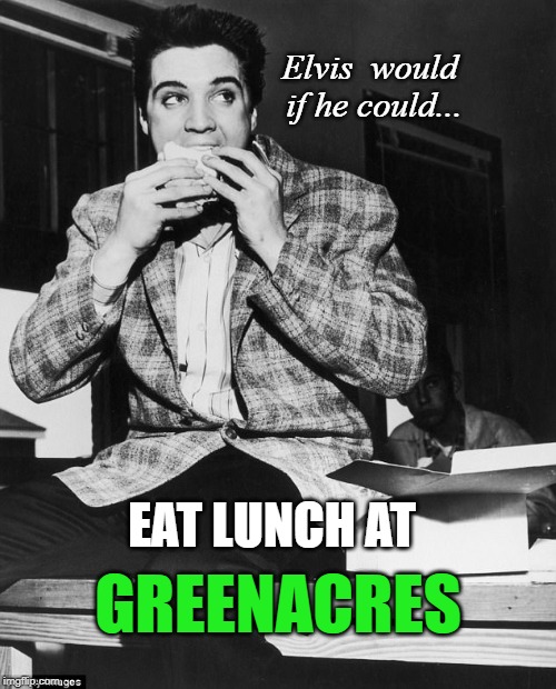 Elvis Presley Eating | Elvis 
would if he could... EAT LUNCH AT; GREENACRES | image tagged in elvis presley eating | made w/ Imgflip meme maker