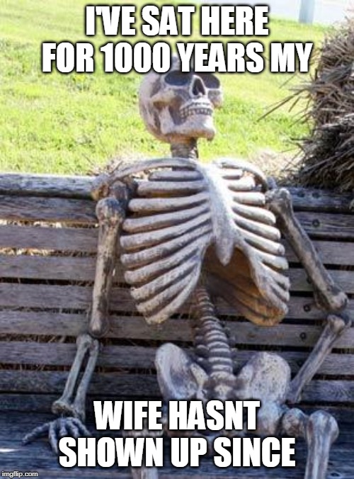 Waiting Skeleton Meme | I'VE SAT HERE FOR 1000 YEARS MY; WIFE HASNT SHOWN UP SINCE | image tagged in memes,waiting skeleton | made w/ Imgflip meme maker